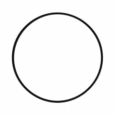 Empaque 36 D para las bombas ROBUSTA2/75