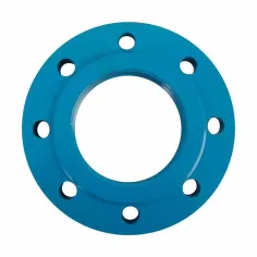 Brida roscada para las bombas ROBUSTA4